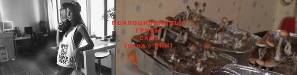 ALPHA PVP Алексеевка
