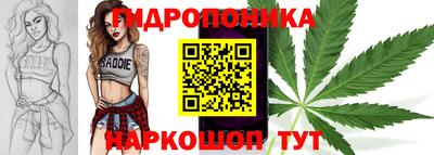 прущие грибы Братск
