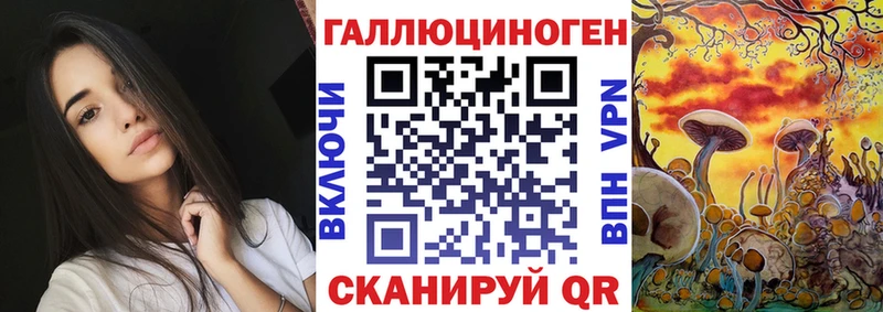 Галлюциногенные грибы Psilocybe  гидра ССЫЛКА  Курганинск 